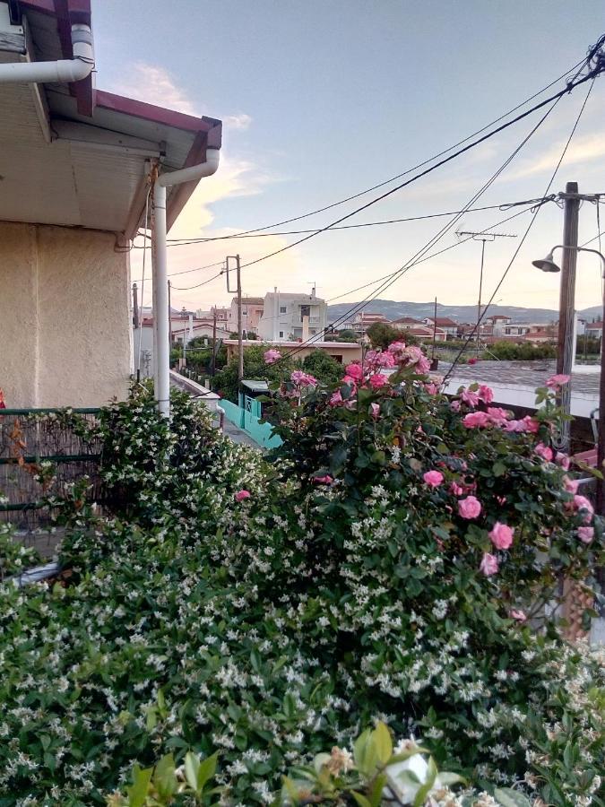ヴラハティCozy House 3アパートメント エクステリア 写真